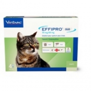 EFFIPRO DUO CHAT 50 MG         	plaq/4    	sol ext